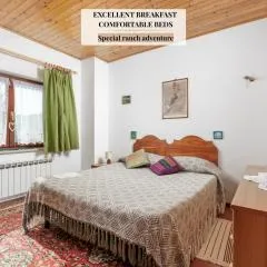 Ranč Katja in Abdul