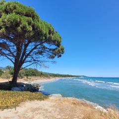 Location de vacances