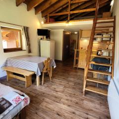 Résidence Le Soliet I - Appartement 2 pièces mezzanine - 6 personnes MAE-2013