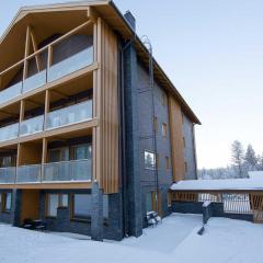 Tunturinlaita A1 Visit Levi