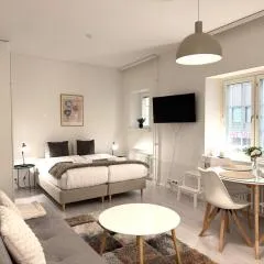Modern Apartment in the City Centre