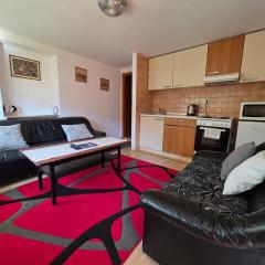 Apartment near center
