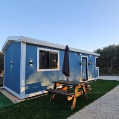 הבקתה של גדי