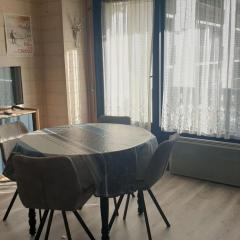 Studio chaleureux, balcon sud, 4 pers., proche centre et pistes - Les Carroz - FR-1-572-218