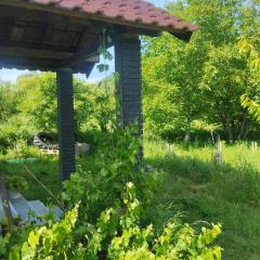 Summer House