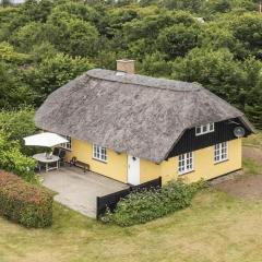 40375-Ulfborg-Helmklit-274
