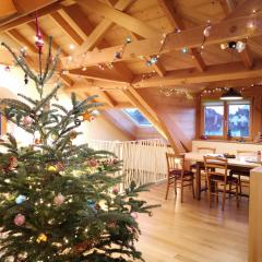 Colmar Friends and Familly guest home - ALL INCLUSIVE - COLMAR Gare - Jardin - Combles et Vous