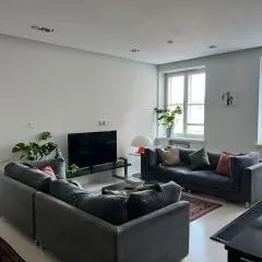 Luxurious 85m2 Hakaniemi, Helsinki Center, Apartment Next to Metro