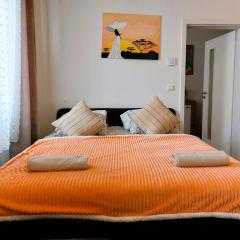 Apartment ČSA #4 in the Historic Center Hradec Králové