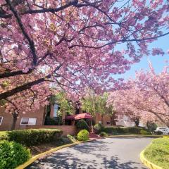 Long term 1BR w Balcony & Parking Near Philly