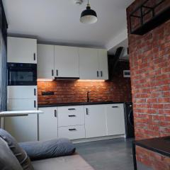 Ceglany Apartament Kościuszki 133