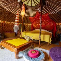 Reijgershof - Yurt Experience with garden view
