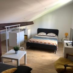 Studio rénové proche palais des sports