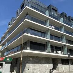 Exclusive Apartment - blisko Dworca, darmowy parking przy ulicy, późne wymeldowanie, Wi-Fi