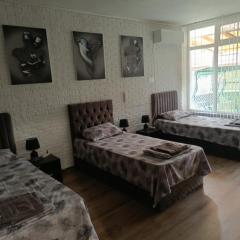 Апартамент за гости Централ