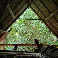 Lunad Retreats by Ecocio