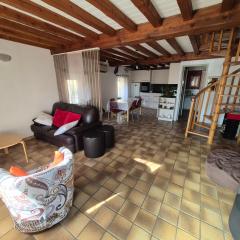 Maison cozy dans les Volcans