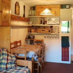 Les Gets : 2 Pièces + Cabine, 5 pers, Garage à 300m des pistes - FR-1-802-99