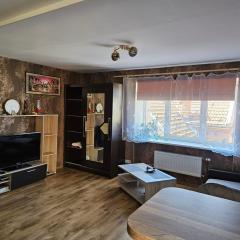 Comfy apartment in the center of the city