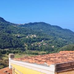 Lumira Vista - Borgo