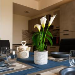 Chic house