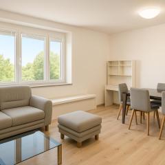 Stay in Piešťany Business 2BR