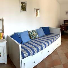 Casa del Cedro