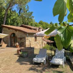 Berenice in Chianti - Authentic Tuscan Country House