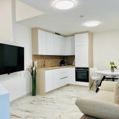 Danube22 Apartment 4
