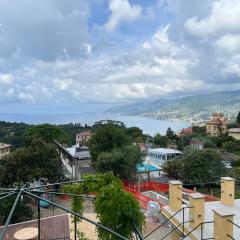 Garden Seaview Camogli