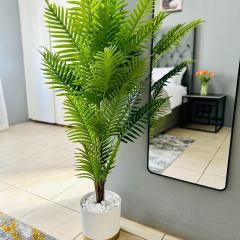 SerenityStay 37 on Zebra