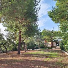 Residence Family House