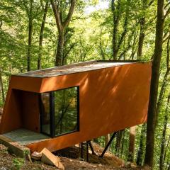 Cabane dans les arbres