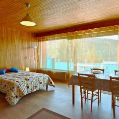 Studio spacieux rénové, balcon sud, accepte animaux - FR-1-340-132