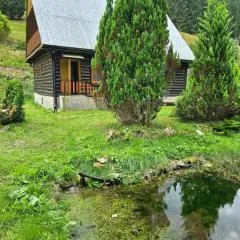 Chata pri jazierku - Cottage by the Little Lake