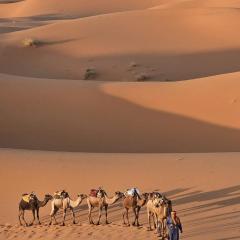 Maison Merzouga Guest House