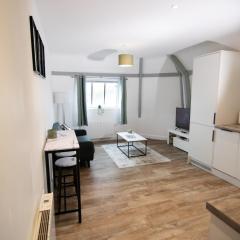 Stylish, Spacious 1 Bedroom Apartment, central