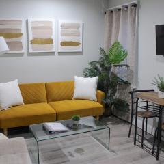 2 BEDROOM 1 BATH TRENDY Apt Downtown Albany