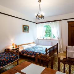 فيلا بازكوفكا