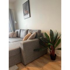 Snowflake XI Family rooms