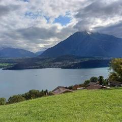 Lakeview Lodge Ferienwohnung Aeschlen ob Gunten am Thunersee