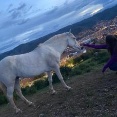 Cabalgatas Culturales en los Andes, Experiencia Auténtica con Caballos en Cusco, Perú