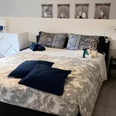 SOPHIE HOME Torino, Nuovissima vicino Juventus Stadium