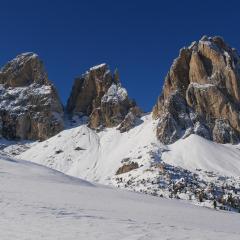 Apartment Hotel Elvis