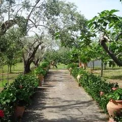 Il Giardino sul Mare
