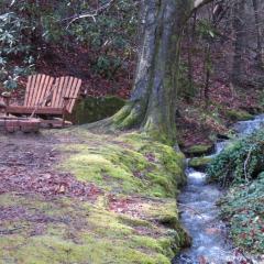 Cozy Creek - A Romantic Smoky Mountain Escape - Relax in a sheltered hot tub with creek-side & holler views - 3 mi to Gatlinburg, P Forge and National Park - listen to gentle mountain streams at this peaceful retreat in the heart of the Smokies