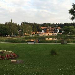 Holiday apartment HANNAH Cocksfoot