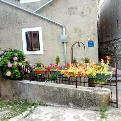 Apartment Merikanić