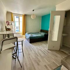 Studio lumineux entre forêt et château