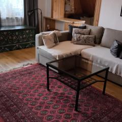 Cozy Apartment in Krakow